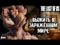 The Last of us 🍄 / Бестиарий и краткая История Мира