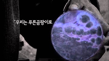EBS 클립뱅크(Clipbank) - 곰팡이, 작은 생물의 세계(Mold, a World of Small Organisms)