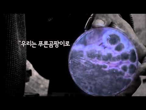 EBS 클립뱅크(Clipbank) - 곰팡이, 작은 생물의 세계(Mold, a World of Small Organisms)