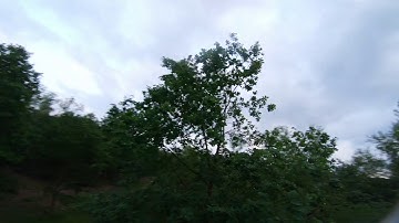 Treestyle | HQ V1S + TBS Source One + Betaflight 4.0.3 | 🌳