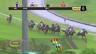 Vidéo de la course PMU SPEEDY CAT 2013 STAKES