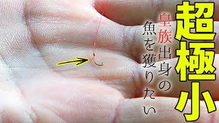 【0.3ミリ】超極細の糸で皇族が飼っていたお魚を捕獲せよ！【闘魚釣り 前編】