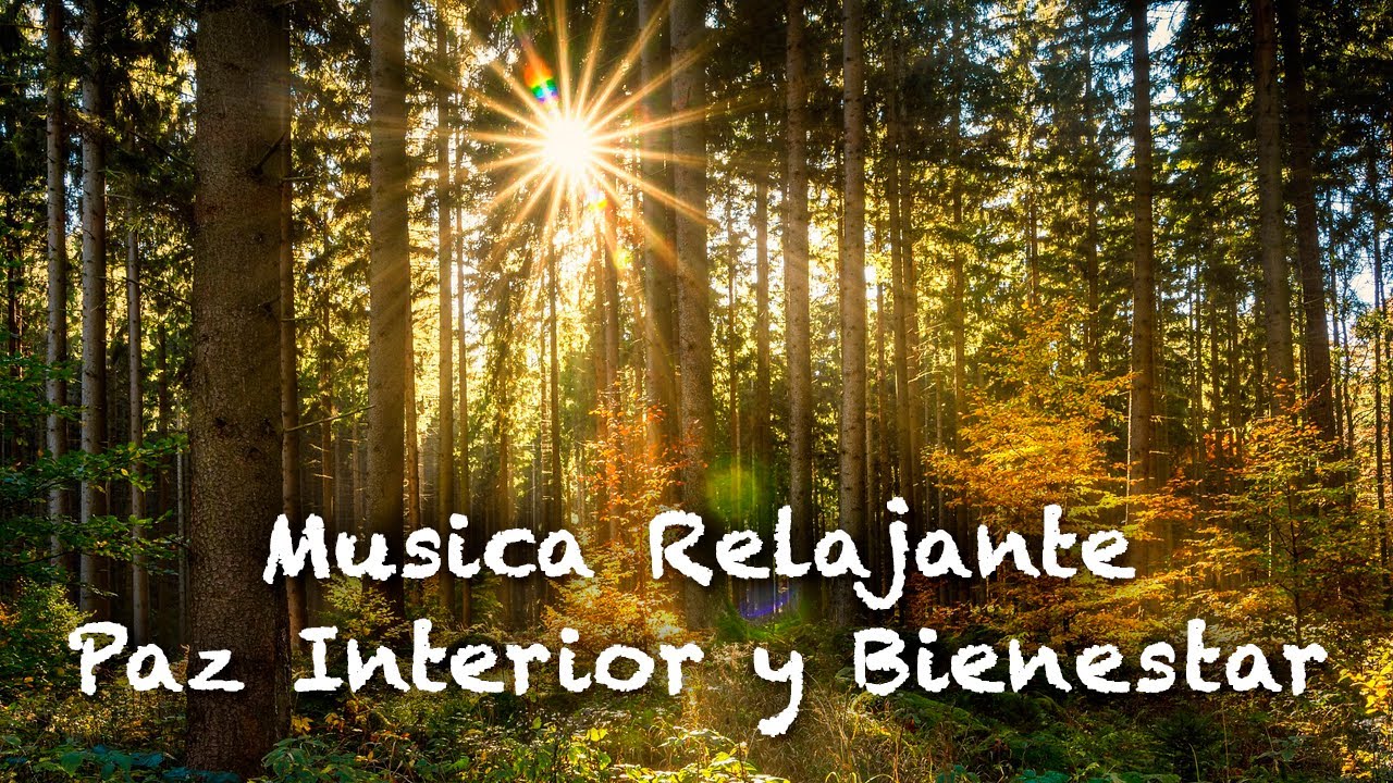 Paz Interior y Bienestar | Musica Relajante para curar y encontrar la ...