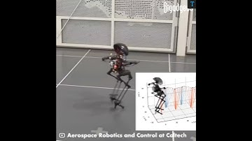 Leonardo Bipedal|Locomotion Robot Can Fly|#shorts