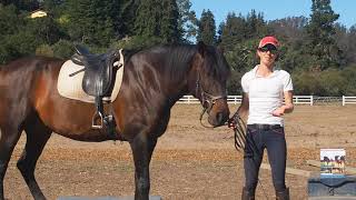 Intro to Jec Ballou's Tips