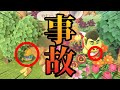 【あつ森】特に理由のない「事故」がどうぶつ達を襲う