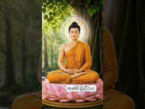 සුබ දවසක්  සැමදෙනාටම❤️❤️