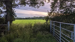 Micro Adventure: Wild Camping