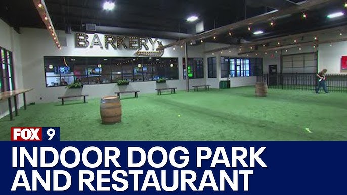 Indianapolis indoor dog park: What Indy's Indoor Bark Park is like