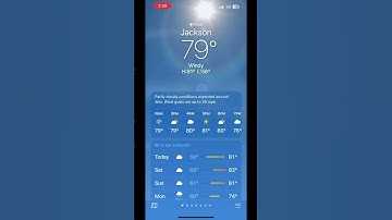 iOS 18.4.1 Weather Animation: Windy