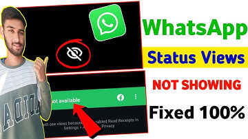 WhatsApp Status Views Not Showing Problem | How to Fix WhatsApp Status Views Not Showing Problem
