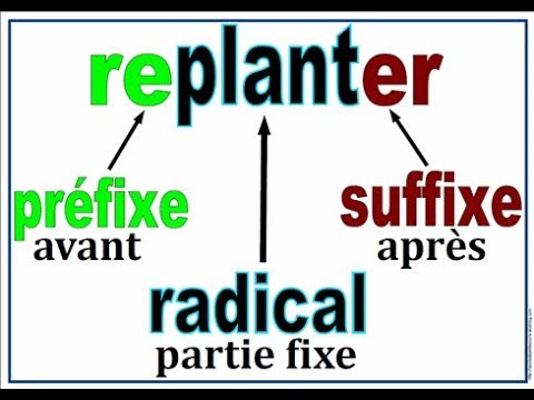 Vidéo: Comment Définir La Racine, Le Suffixe Et Le Préfixe