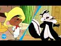 Who is the Best B-Tier Looney Tunes Character?