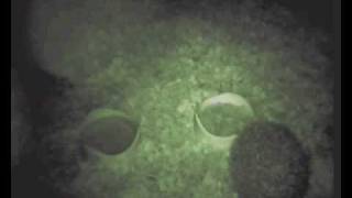 20091021 200239