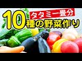 【非常識な家庭菜園】庭に畑を作る～タタミ一畳分に10種類の野菜作り～その1