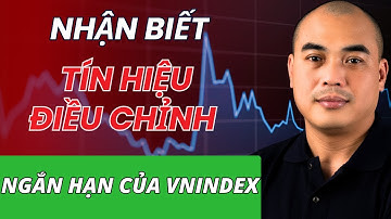 XU HƯỚNG DÒNG TIỀN | Cách  nhận biết tín hiệu điều chỉnh ngắn của Vnindex