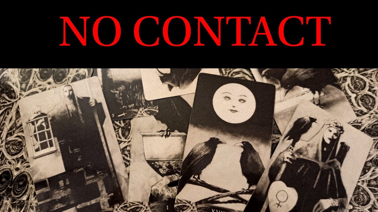 PICK A CARD: NO CONTACT. DO THEY HAVE REGRETS? ACTIONS_ OUTCOME.  TAROT TIMELESS READING.