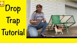 Trapping feral cats How to use a drop trap for cats TNR feral cats (trap neuter return