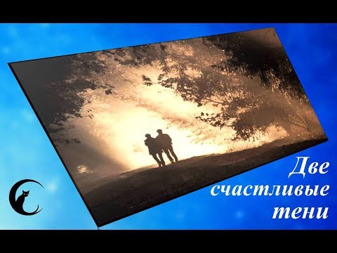 Напоили девушку и трахнули: смотреть русское порно видео