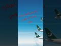 DreamScreenAI London To Pak Direct PIA Service Start Boeing777 Flyingwithpia Happyflying DreamScreenAI London To Pak Direct PIA Service Start Boeing777 Flyingwithpia Happyflying