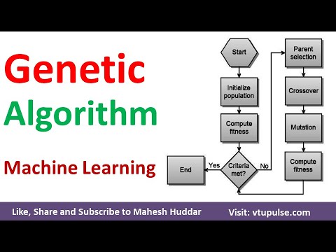 Video: Ar genetinis algoritmas mokosi mašininiu būdu?