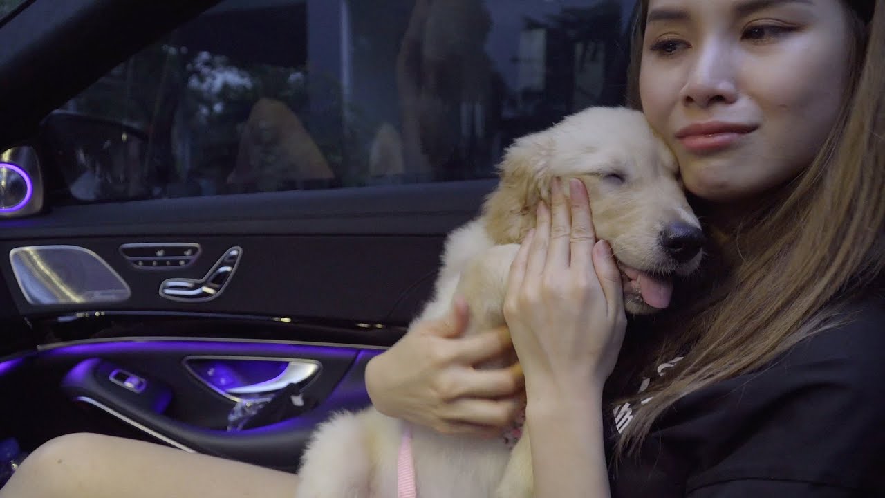 I couldn't stop crying