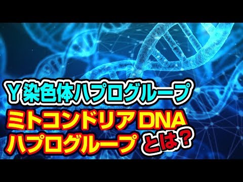 遺伝子から見る日本人のルーツ…Y染色体・ミトコンドリアDNAハプログループとは？