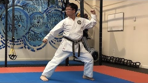 Pinan Godan - Shito-ryu Karate Kata / 平安五段 - 糸東流空手道 形