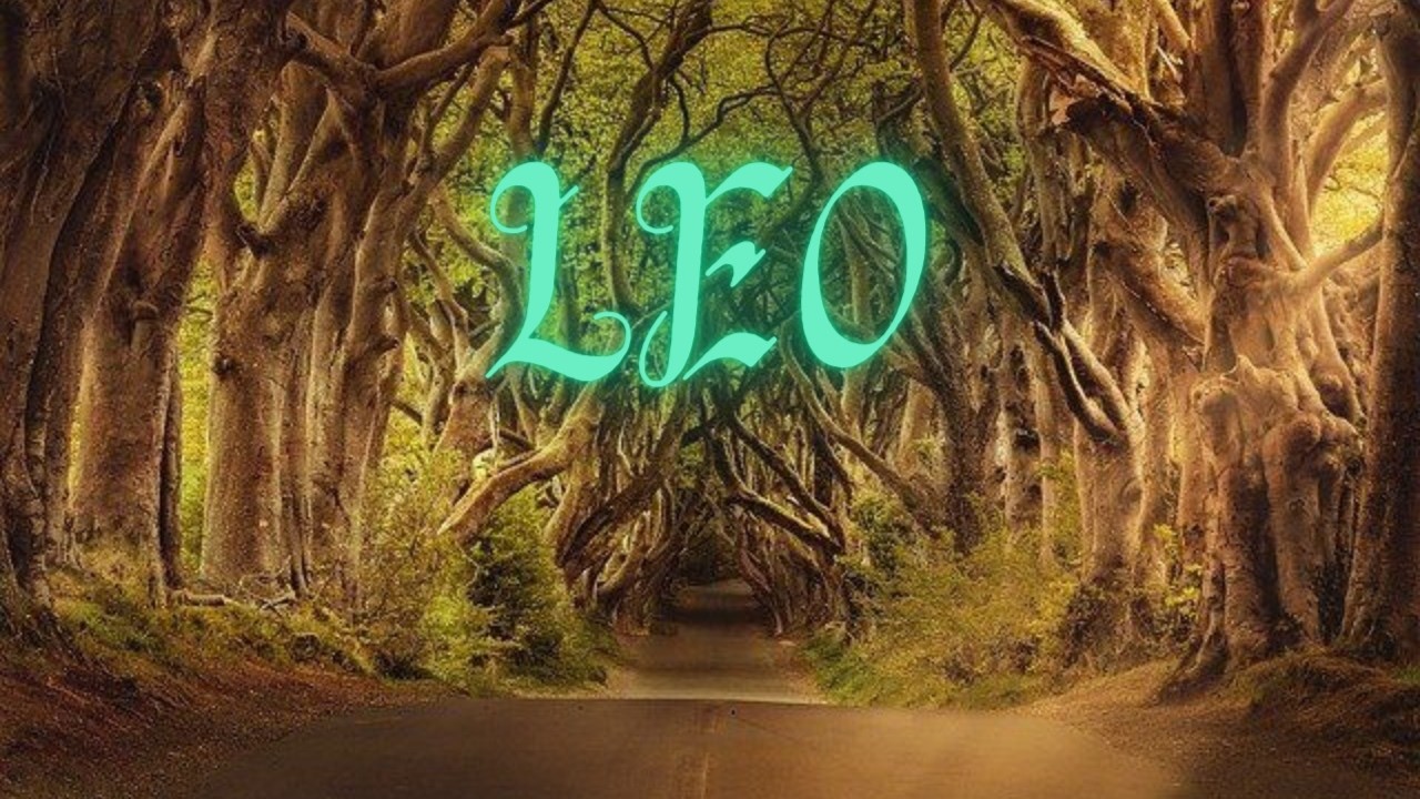 LEO ✨ LA JUSTICIA CELESTIAL TE APOYA ⚖️ TU VICTORIA ESTÀ ESCRITA 🥂 QUIEN TE AMA FESTEJARÀ CONTIGO 💫