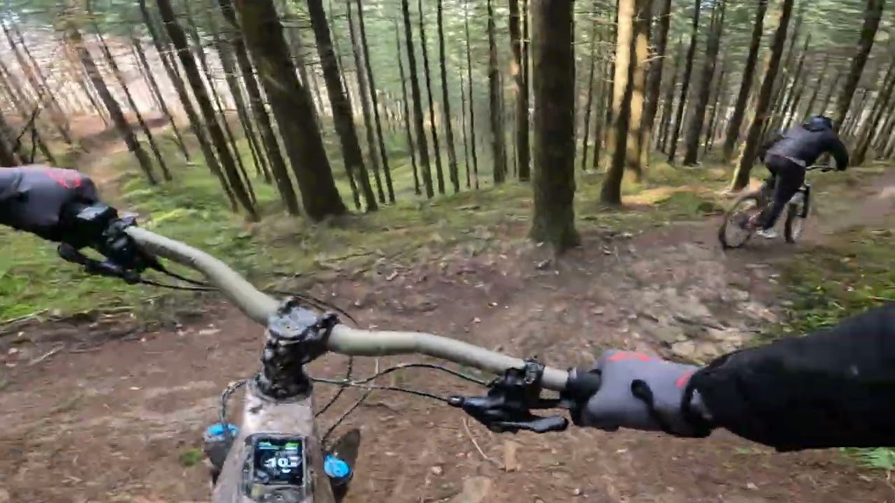 Landa 2026.02.28: Whistler II