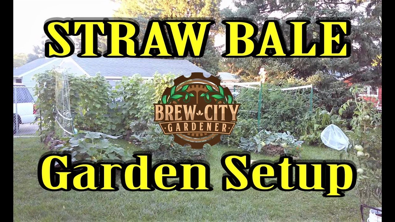 Try Your Own Straw Bale Garden - Laidback Gardener