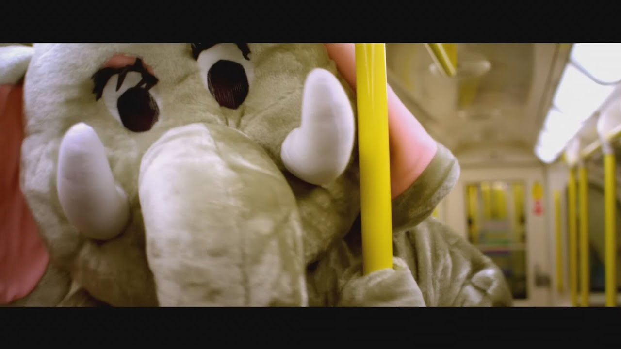 Coldplay visit sparks week long festival in Hull