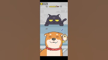 Hide and Shake: Cat Escape🙀! All Levels 98 #shorts #fun