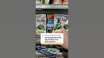 thuốc đặc trị rầy xanh và sâu đục trái #hoàngdương #thuocbaovethucvat