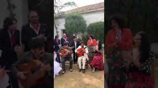 Lin Cortés - El Pele - Joselito Acedo.