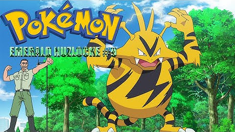 Pokemon Emerald Randomized Nuzlocke Let