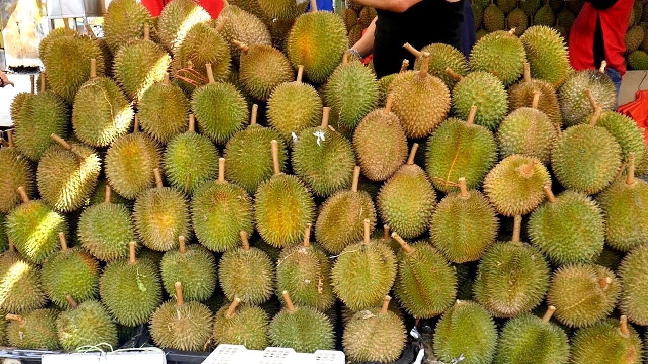 DURIAN SEASON 🤭 The SMELLIEST FRUIT in the World【榴莲】 YouTube