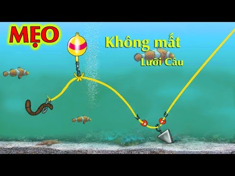 Video: Bí Mật Câu Cá: Lưỡi Câu Bù