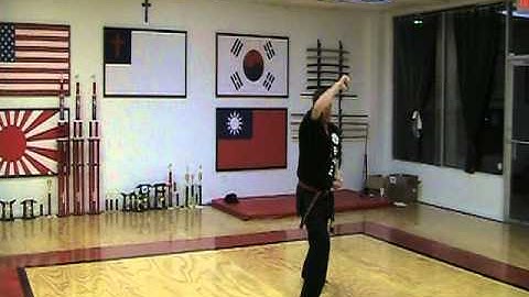 Tang Soo Do form 4 Pyong Ahn Cho Dan