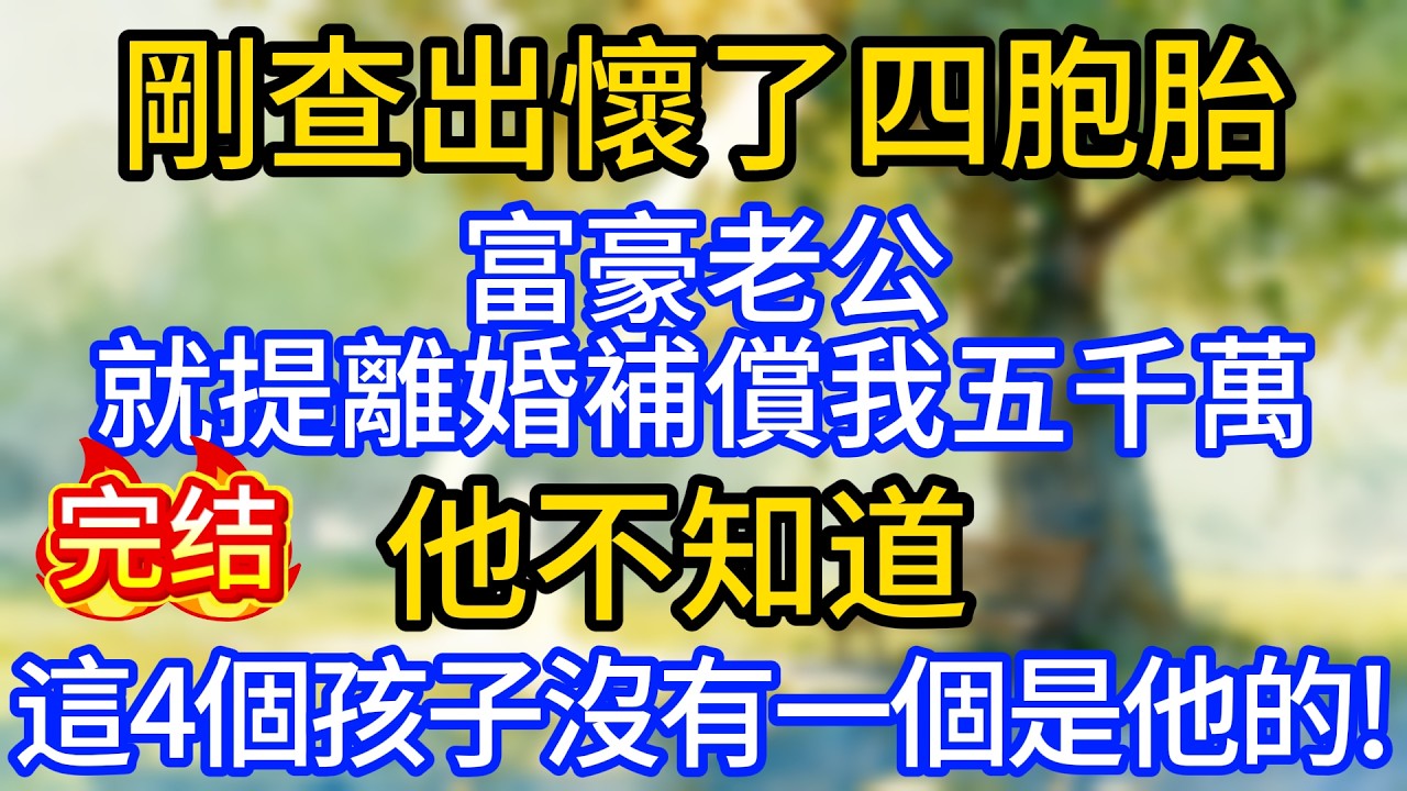 剛查出懷了四胞胎，富豪老公就提離婚補償我五千萬，他不知道，這4個孩子沒有一個是他的!
