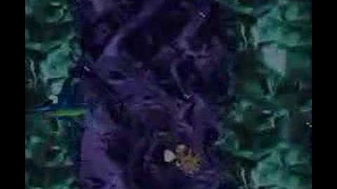 DKC 2 Arctic Abyss With Bonus Levels