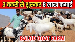 3 बकरी से शुरु कर 8 लाख कमाई ।। 8 lakhs Profit from goat Farming ।Bakri Palan Chhattisgarh