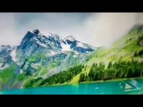 კედლის დიზაინი - სკინალი  T. 568 02 77 11      597 12 64 30