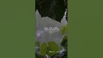 قراءة لما تيسر من القران الكريم ايات قرانيه #اكسبلور #متابعه #لايك