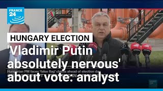 Vladimir Putin Absolutely Nervous About Hungarys Election, Expert Says France 24 English