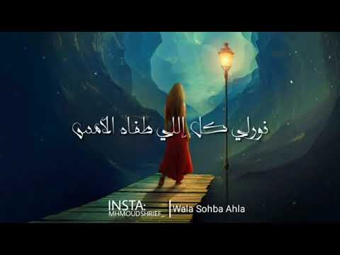 حالات واتس ساب القمر ضيه على بابي حمزه نمره