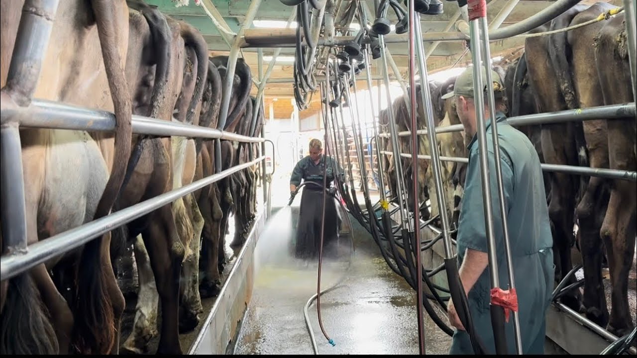 Дженна и Каллум. Чёртовы вертолетные опрыскиватели.