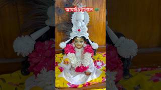 জামাই ষষ্ঠী স্পেশাল🦚#bhakti #ytshorts #shyam #laddugopal #bhajan #jamaisasthi #gopal #shorts #cute