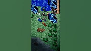 A Few Inches Later 📏 - Tibia 7.4 - Miracle #tibia #tibiagame #tibiapvp