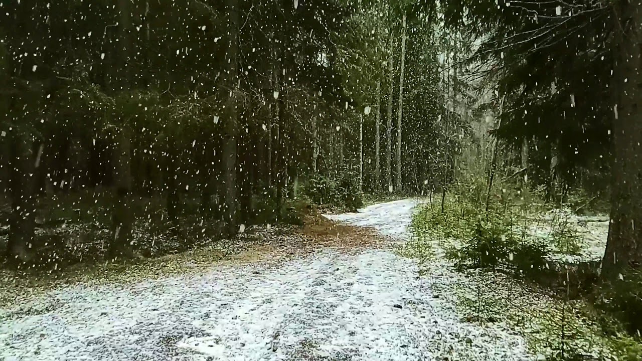 Падающий снег весной